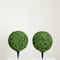 14" UV-Resistant Boxwood Ball Topiaries with Integrated Ground Stakes, 2ct.